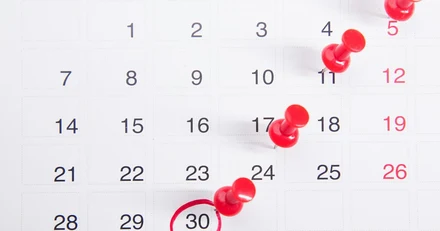 How we run a fixed-scope brand engagement (timeline, deliverables, kill-switches)